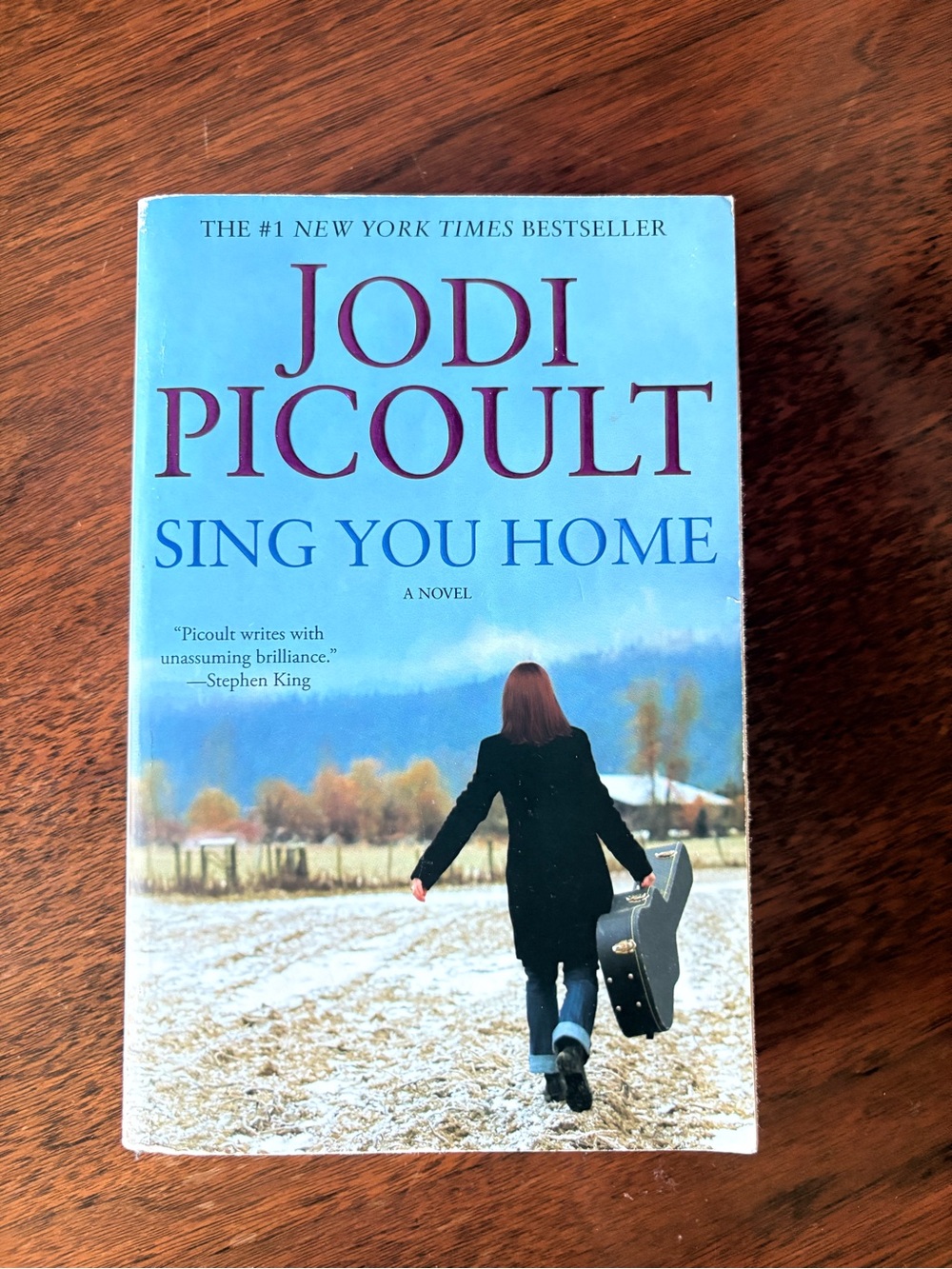 3/$20 Jodi Picoult Sing You Home - Blue Paperback Novel